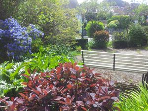 Photo 16- click for photo gallery